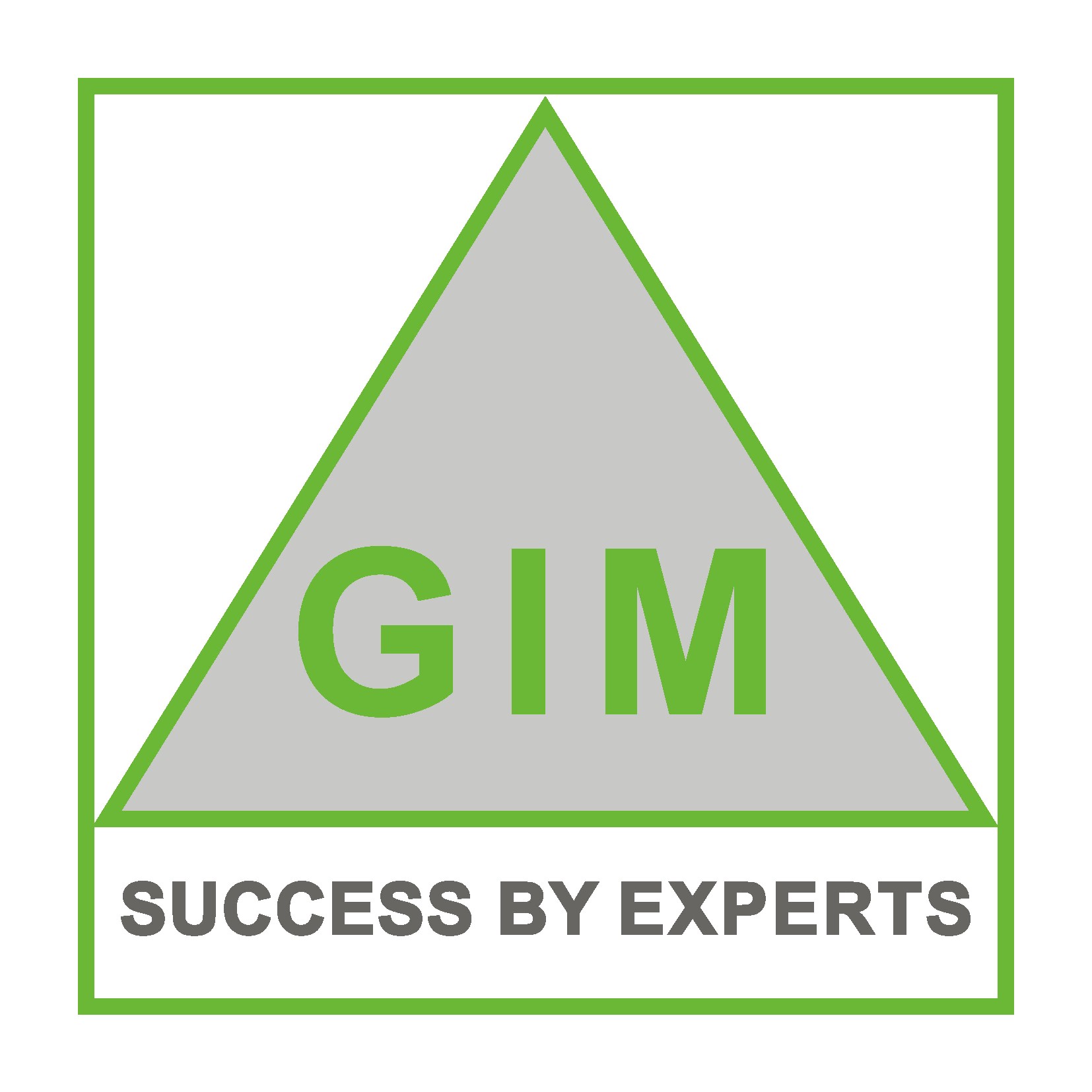 GIM Logo